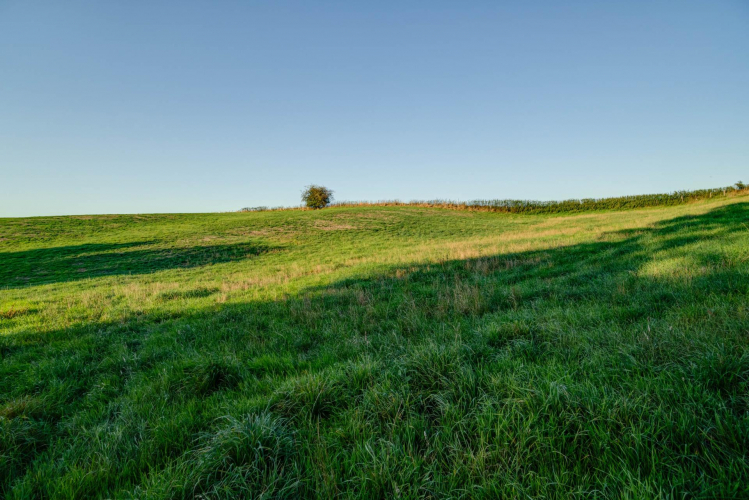 Bürgerinitiative Düssel-West © Copyright Frank Tusch